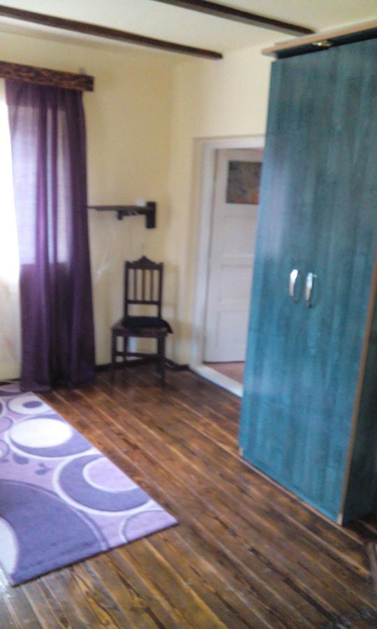 Casa Cosmin Guest House Dobra Exterior photo