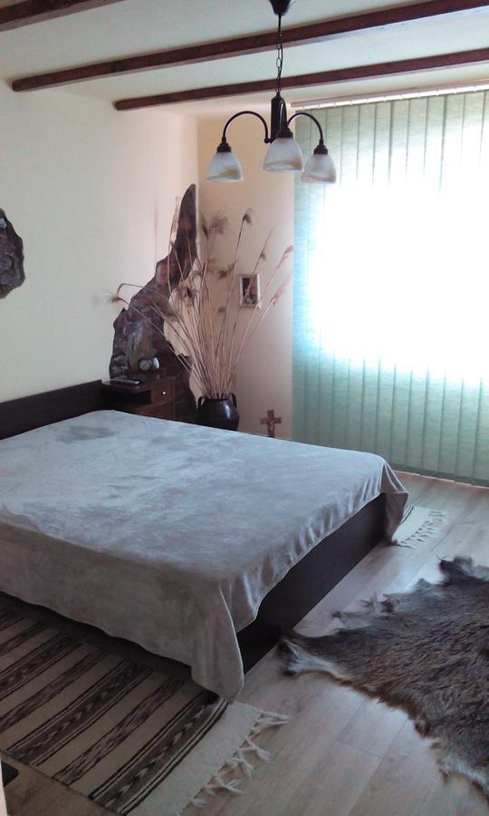 Casa Cosmin Guest House Dobra Exterior photo