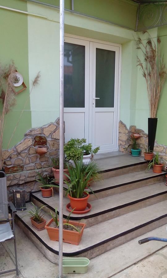 Casa Cosmin Guest House Dobra Exterior photo