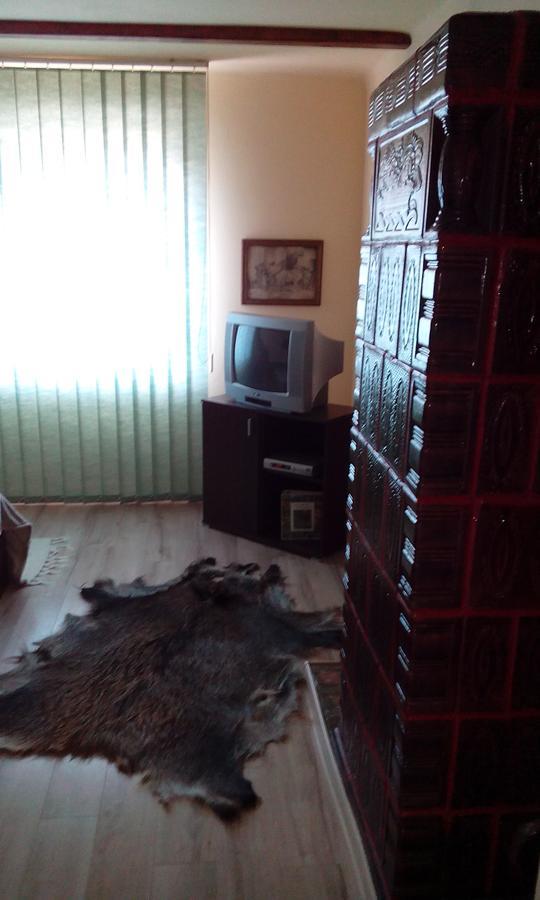 Casa Cosmin Guest House Dobra Exterior photo