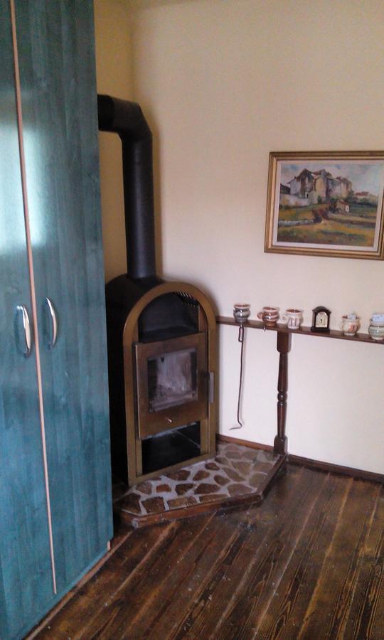 Casa Cosmin Guest House Dobra Exterior photo